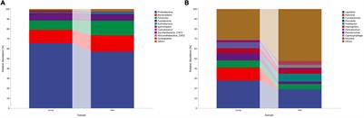 Age-Related Cancer-Associated Microbiota Potentially Promotes Oral Squamous Cell Cancer Tumorigenesis by Distinct Mechanisms